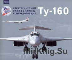 Стратегический ракетоносец-бомбардировщик Ту-160