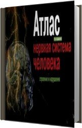 Атлас. Нервная система человека. Строение и нарушения