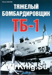Тяжелый бомбардировщик ТБ-1 (Авиационный фонд)