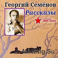 Рассказы (Аудиокнига) читает  Егор Серов, Юрий Ильин