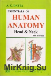 Essentials of Human Anatomy. Head and Neck