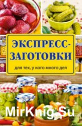 Экспресс-заготовки