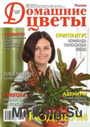 Домашние цветы №10 2016