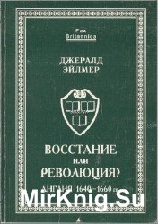 Восстание или революция? Англия 1640-1660 гг.