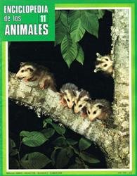 Enciclopedia de los animales 011