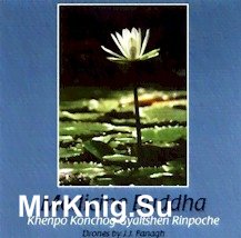 Medicine Buddha (Audiobook)