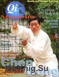 Qi Magazine №19 1995