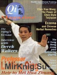 Qi Magazine №20 1995