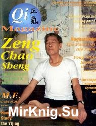 Qi Magazine №21 1995