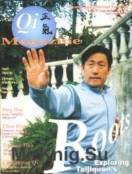 Qi Magazine №27 1996