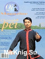 Qi Magazine №28 1996