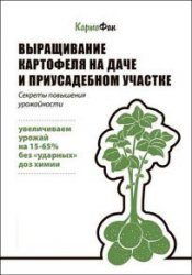 Выращивание картофеля на даче и приусадебном участке. Секреты повышения урожайности