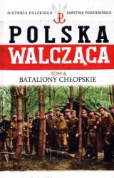 Historia Polskiego Panstwa Podziemnego - Polska Walczaca Tom 6