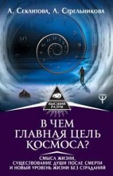 В чем главная цель Космоса? Смысл жизни, существование души после смерти и новый уровень жизни без страданий