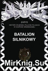 Batalion Silnikowy (Zarys historii wojennej pulkow polskich w kampanii wrzesniowej. Zeszyt 66)