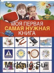 Моя первая самая нужная книга. Мир вокруг меня