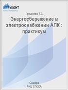 Энергосбережение в электроснабжении АПК : практикум  