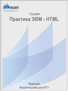 Практика ЭВМ - HTML  