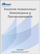 Зоология позвоночных: Земноводные и Пресмыкающиеся  