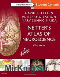 Netter's Atlas of Neuroscience. Third edition