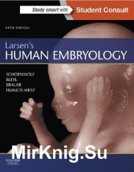 Larsen's Human Embryology Edition: 5th