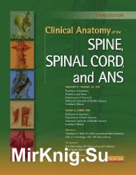 Clinical Anatomy of the Spine, Spinal Cord, and Ans