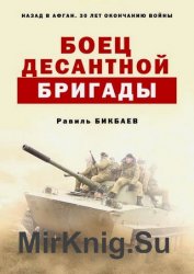 Боец десантной бригады