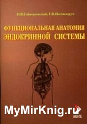 Функциональная анатомия эндокринной системы