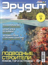 Юный эрудит №11 2019