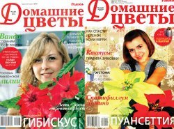Архив журнала "Домашние цветы" за 2012 год