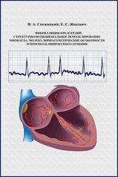 Фибрилляция предсердий: структурно-функциональное ремоделирование миокарда, молекулярно-генетические особенности и прогноз клинического течения