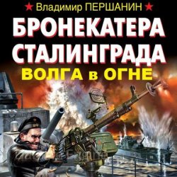 Бронекатера Сталинграда. Волга в огне (Аудиокнига)