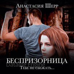 Беспризорница (Аудиокнига)