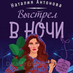 Выстрел в ночи (Аудиокнига)