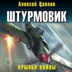 Штурмовик. Крылья войны (Аудиокнига)