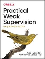Practical Weak Supervision: Doing More with Less Data (Final)