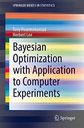 Bayesian Optimization with Application to Computer Experiments