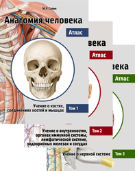 Анатомия человека. Атлас. Учебное пособие. В 3-х томах