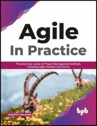 Agile in Practice: Practical Use-cases on Project Management Methods including Agile, Kanban and Scrum