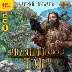 Видящий. Книга 2. Тэн (Аудиокнига)