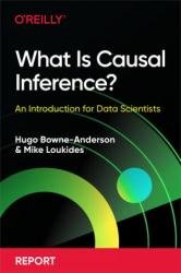 What Is Causal Inference?