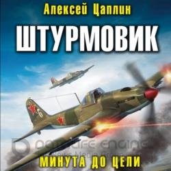 Штурмовик. Минута до цели (Аудиокнига)