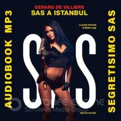 SAS в Стамбуле (Аудиокнига)