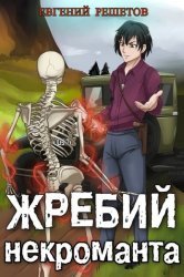 Жребий некроманта. Цикл из 5 книг