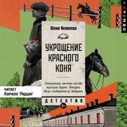 Укрощение красного коня (Аудиокнига) декламатор Радциг Кирилл
