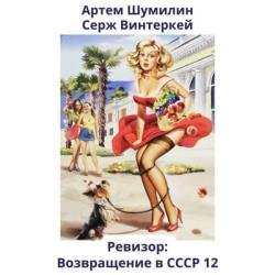 Ревизор: возвращение в СССР 12 (Аудиокнига)