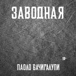 Заводная (Аудиокнига) декламатор Макаров Антон